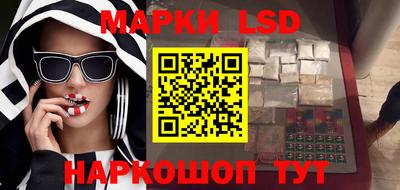 индика Кузнецк