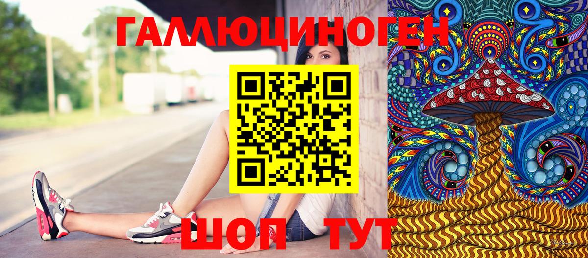Галлюциногенные грибы Psilocybe Керчь